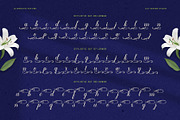 Flowmery Typeface, a Script Font by alit design (Thumbnail 12 of 15)