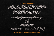 Starships a Brush Script Typeface, a Script Font by Vilogsign (Thumbnail 7 of 7)