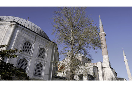 Low angle view of a white mosque, an Architecture Photo by Media Whale Stock