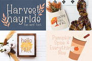 Fall Handwritten Font Bundle, a Handwritten Font by Designing Digitals (Thumbnail 5 of 8)