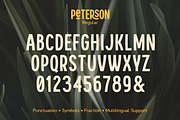 Peterson, a Sans Serif Font by Larin Type Co. (Thumbnail 10 of 11)