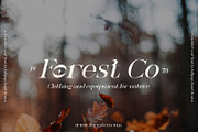 Alegiro Serif Font, a Serif Font by Lollipop Hand Drawn (Thumbnail 4 of 10)