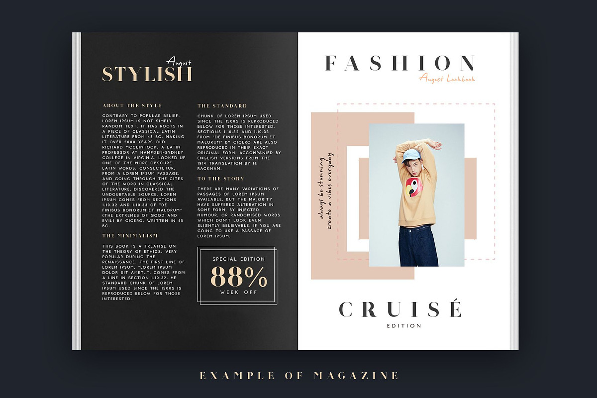 Troye Font Trio - Clean & Luxury preview 5