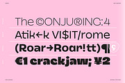 Dingos | Compact Chunky Display Sans, a Sans Serif Font by Antipixel Type Studio (Thumbnail 10 of 16)