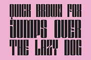 Solene Display - Logo Branding Font, a Sans Serif Font by Nirmana Visual (Thumbnail 5 of 15)
