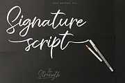 The Strength, a Script Font by AMINMARIO (Thumbnail 3 of 12)