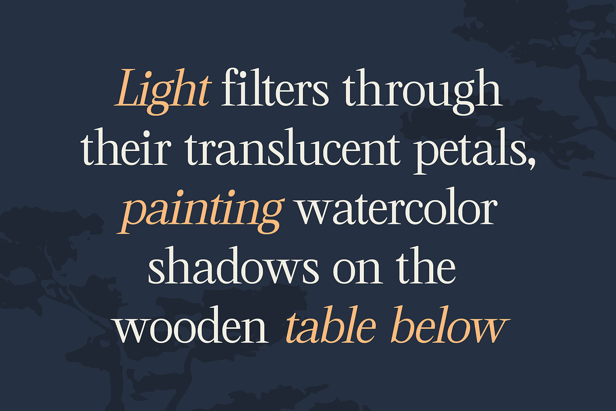CS Cartage – Contemporary Font, a Serif Font by Craft Supply Co. (Photo 3 of 8)