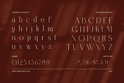 Melkino Elegant Serif Font, a Serif Font by Elegant Font (Thumbnail 8 of 8)