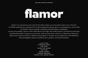 Flamor - Editorial Sans Serif Family, a Sans Serif Font by VP Fonts (Thumbnail 2 of 23)
