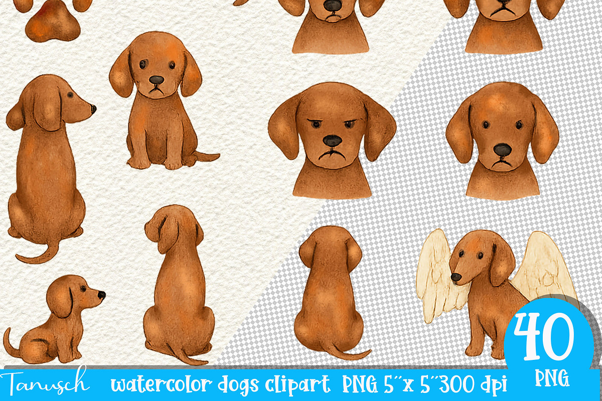 Watercolor Dog - Dachshund CLIPART, an Animal Illustration by TanuschArts (Photo 5 of 6)