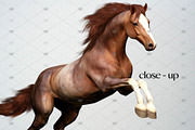 Watercolor Horse Clipart Set, 50 PNG, an Animal Illustration by CropUp Creative (Thumbnail 4 of 5)
