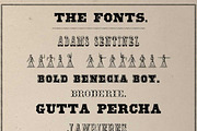 40 Fonts from the Civil War Bundle, a Font by New Blazing Star Press (Thumbnail 2 of 5)