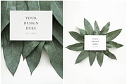 The Eucalyptus Leaves Bundle, a Print Template by Imperium Nordique (Thumbnail 4 of 5)