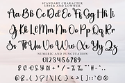 Special Signature, a Handwritten Font by FreshTypeINK (Thumbnail 3 of 8)