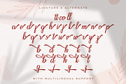 Seindah Cinttya - Casual Script Font, a Script Font by StringLabs (Thumbnail 11 of 12)