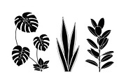 Minimal Botanical Leaf Silhouette Bu, an Illustration by Creativeshirt (Thumbnail 19 of 51)