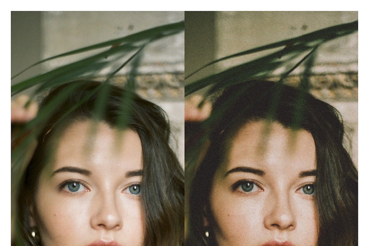 Mega Bundle 500+ Lightroom Presets, a Preset Add-On by Daily Studio (Photo 2 of 10)