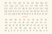 Roselight - Modern Elegant Display, a Serif Font by Qweera Studio (Thumbnail 9 of 12)