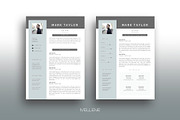 CV / Resume template for MS Word, a Resume Template by Mellene Templates (Thumbnail 1 of 2)
