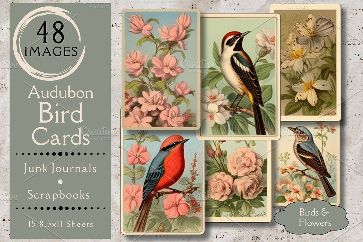 Audubon Bird Cards for Junk Journals, an Animal Illustration by 23 Pixels (Photo 1 of 4)