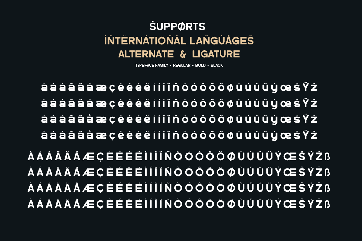 Goda, a Sans Serif Font by twinstd (Photo 11 of 11)
