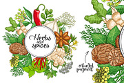 Hot spices and herbs templates, a Food Illustration by Primula`s shop (Thumbnail 3 of 4)