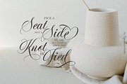 Merline Script, a Script Font by TypeMakers (Thumbnail 5 of 12)