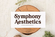 Neraphic A Modern Serif Font, a Serif Font by Storytype Studio (Thumbnail 11 of 15)
