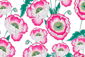 Watercolor Pink Poppies