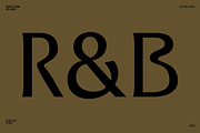 Dx Sillage Elegant Serif Font, a Serif Font by Dirtyline Studio (Thumbnail 7 of 17)