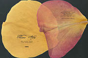 Thin Air - Soft Collage Elements, an Object Graphic by Purple (Thumbnail 2 of 15)