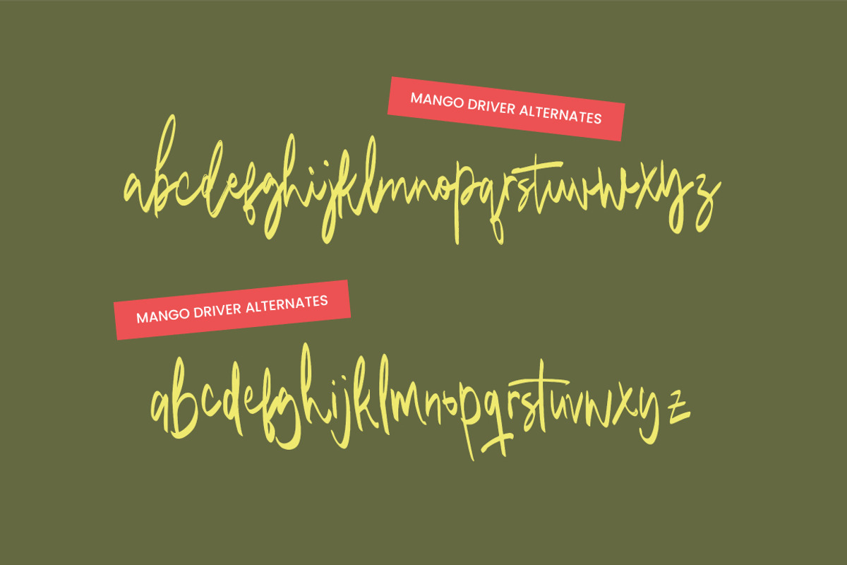 Mango Driver - Signature Brush, a Handwritten Font by tebaltipislab (Photo 3 of 10)