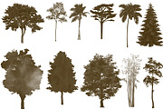 100 Tree Brush Stamps Photoshop, a Brush Add-On by Chipshpow Graphics (Thumbnail 8 of 8)