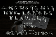 homestay, a Handwritten Font by FreshTypeINK (Thumbnail 8 of 8)