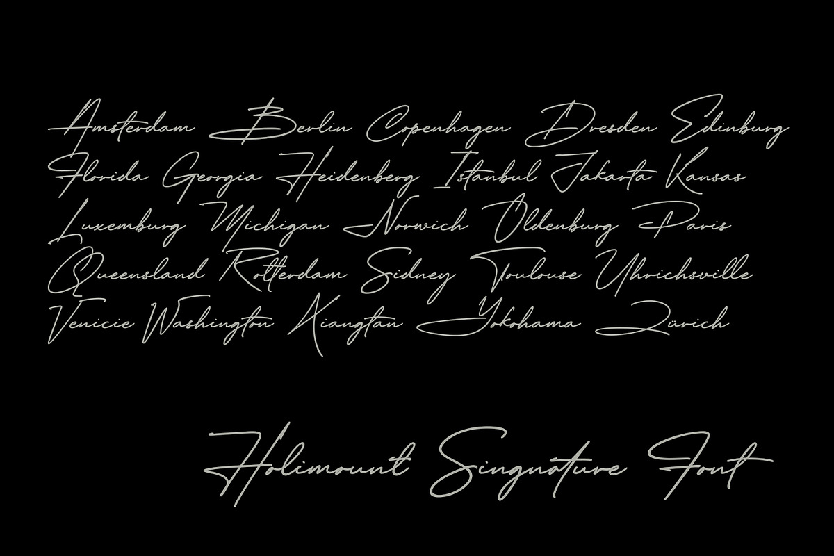 Holimount - Modern Signature, a Script Font by Ridha-38.lineart (Photo 11 of 11)