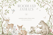 Woodland Animals Watercolor Forest, an Animal Illustration by Kreker Kate (Thumbnail 1 of 12)