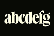 West West Condensed Serif, a Serif Font by Fenotype (Thumbnail 13 of 18)