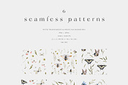 Meadow Mood. Wildflower collection, an Illustration by Diana Askarova Art (Thumbnail 8 of 9)