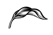 Hand Drawn Leaf Line Art Bundle, an Illustration by hafijul (Thumbnail 32 of 51)