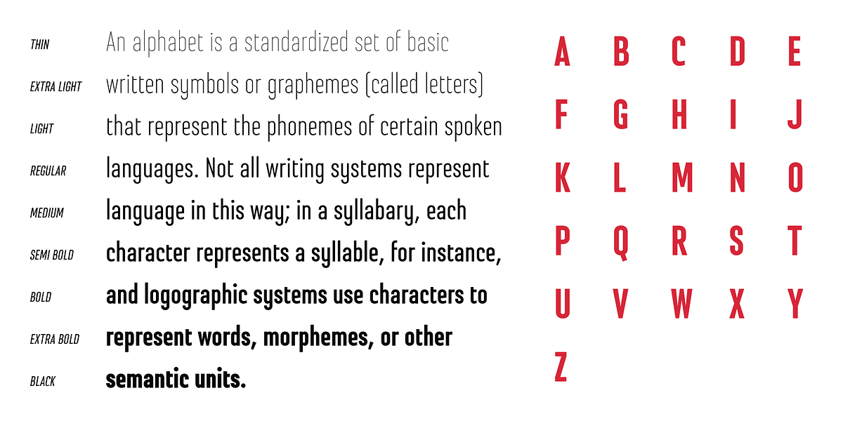 Steclo, a Sans Serif Font by Pepper Type (Photo 2 of 11)