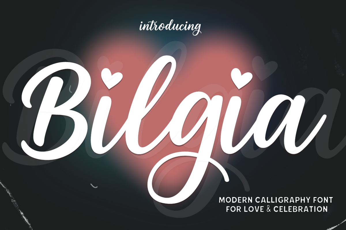 Bilgia Modern Calligraphy Font, a Script Font by cocodesign (Photo 1 of 6)