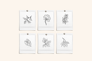 Greenery Sketchbook Illustrations, a Decorative Illustration by Emma Webb Studio (Thumbnail 6 of 7)