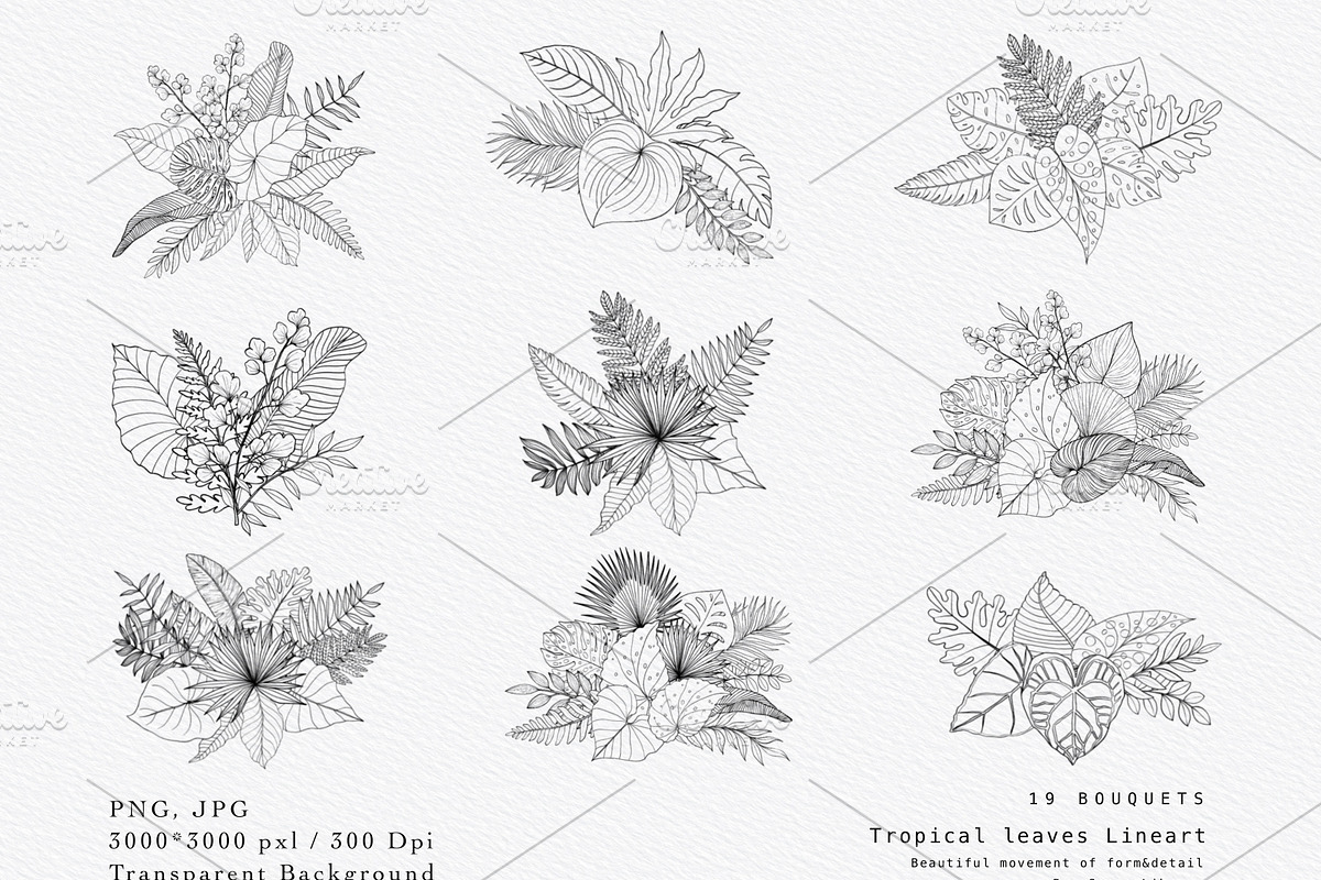 “Charm” Tropical Leaves Lineart, an Illustration by Sense Library (Photo 7 of 23)