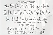 Yesterday Samantha, a Handwritten Font by FreshTypeINK (Thumbnail 7 of 8)