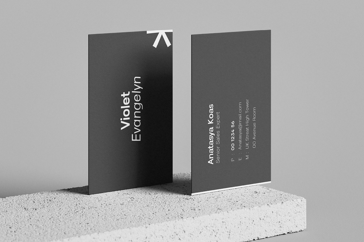 Lenia Sans Family | Intro 75% OFF, a Sans Serif Font by Lettertype Studio (Photo 11 of 15)