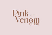 Voglire Elegant Sans Serif Font, a Sans Serif Font by Perfectype (Thumbnail 2 of 8)