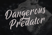 Ringtrack - Rough Brush Fonts, a Script Font by Patria Ari (P4tcreativa) (Thumbnail 10 of 10)