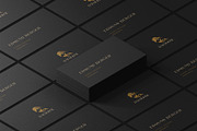RAFHORSE Sports Logo, a Branding & Logo Template by Borhan_the_selfish (Thumbnail 2 of 4)