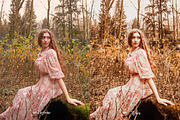 30 Fall Feel Lightroom Collection, a Preset Add-On by 3Motional (Thumbnail 10 of 11)