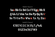 Wisdom Teach - Aesthetic Serif Font, a Serif Font by Fype Co. (Thumbnail 5 of 5)